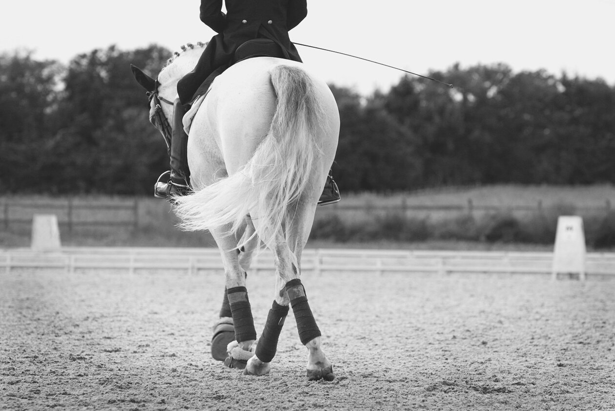 Dressage horse with jockey in jumping course